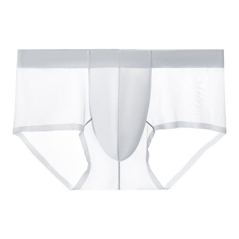 2024 New Ice Silk Transparent Briefs