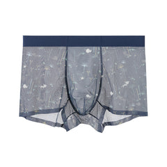 Men's Printed Mesh Sexy Breathable Seamless Panties