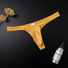 Men's Sexy Low Rise Silk Thong