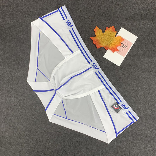 Men's Low Waist Breathable Ice Silk Sexy Fashion Stretch Briefs