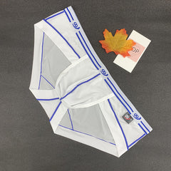 Men's Low Waist Breathable Ice Silk Sexy Fashion Stretch Briefs