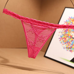 Lace and Mesh Transparent Sexy Thong