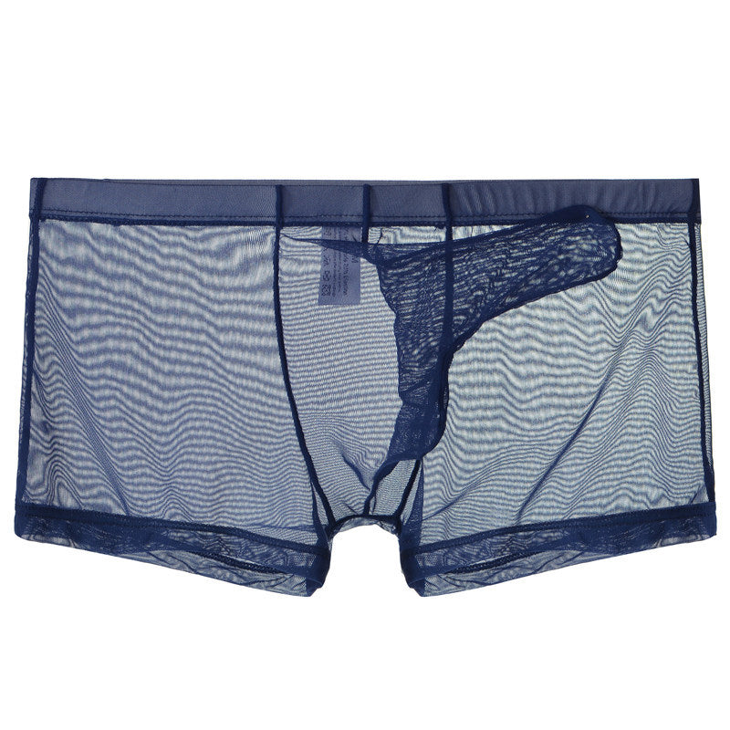 Men's Ultra Thin Mesh Transparent Sexy Trunks