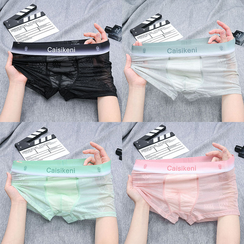 Men's Lace Sexy Mesh Transparent Ice Silk Boxer Briefs