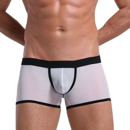 Men's Mesh Breathable Sexy Skin-friendly Boxer Briefs