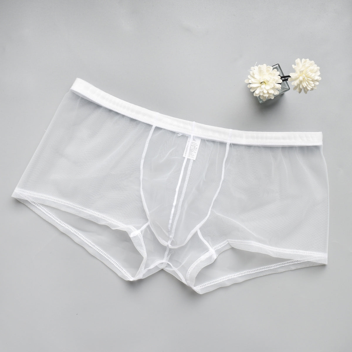 Men's Mesh See-through Boxer Briefs