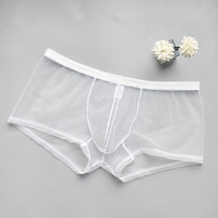 Men's Mesh See-through Boxer Briefs