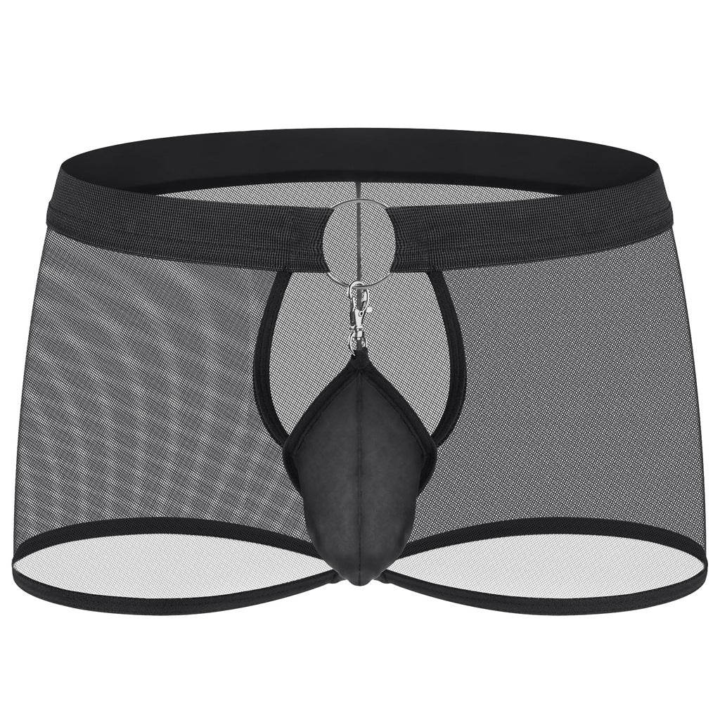 Men's New Sexy Mesh Transparent Boxer Briefs