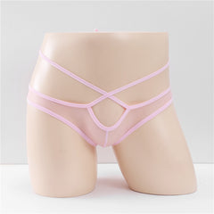 Men's Strappy Transparent Mesh Sexy Briefs