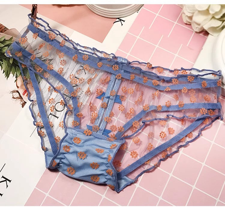 Bowknot Transparent Mesh Lace Hollow Panties