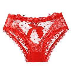 New Sexy Embroidered Lace See-through Mesh Breathable Briefs