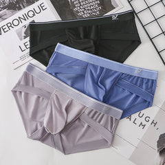 Men's Ultra-thin Ice Silk Mesh Breathable Quick-drying Transparent Sexy Briefs