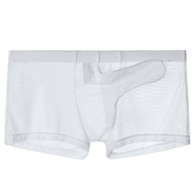 Men's Ultra Thin Mesh Transparent Sexy Trunks