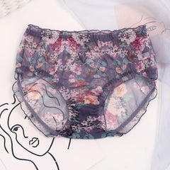 Breathable Mesh Lace Plus Size Briefs