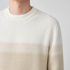 Men's 2023 Winter Fashion Contrast Color Round Neck Jacquard Sweater
