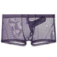 Men's Ultra Thin Mesh Transparent Sexy Trunks