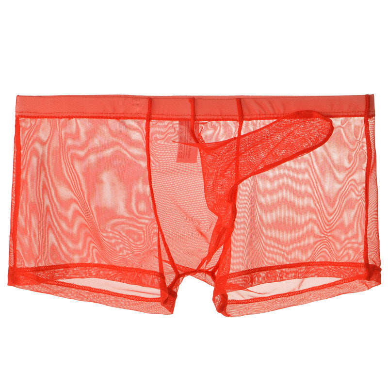 Men's Ultra Thin Mesh Transparent Sexy Trunks