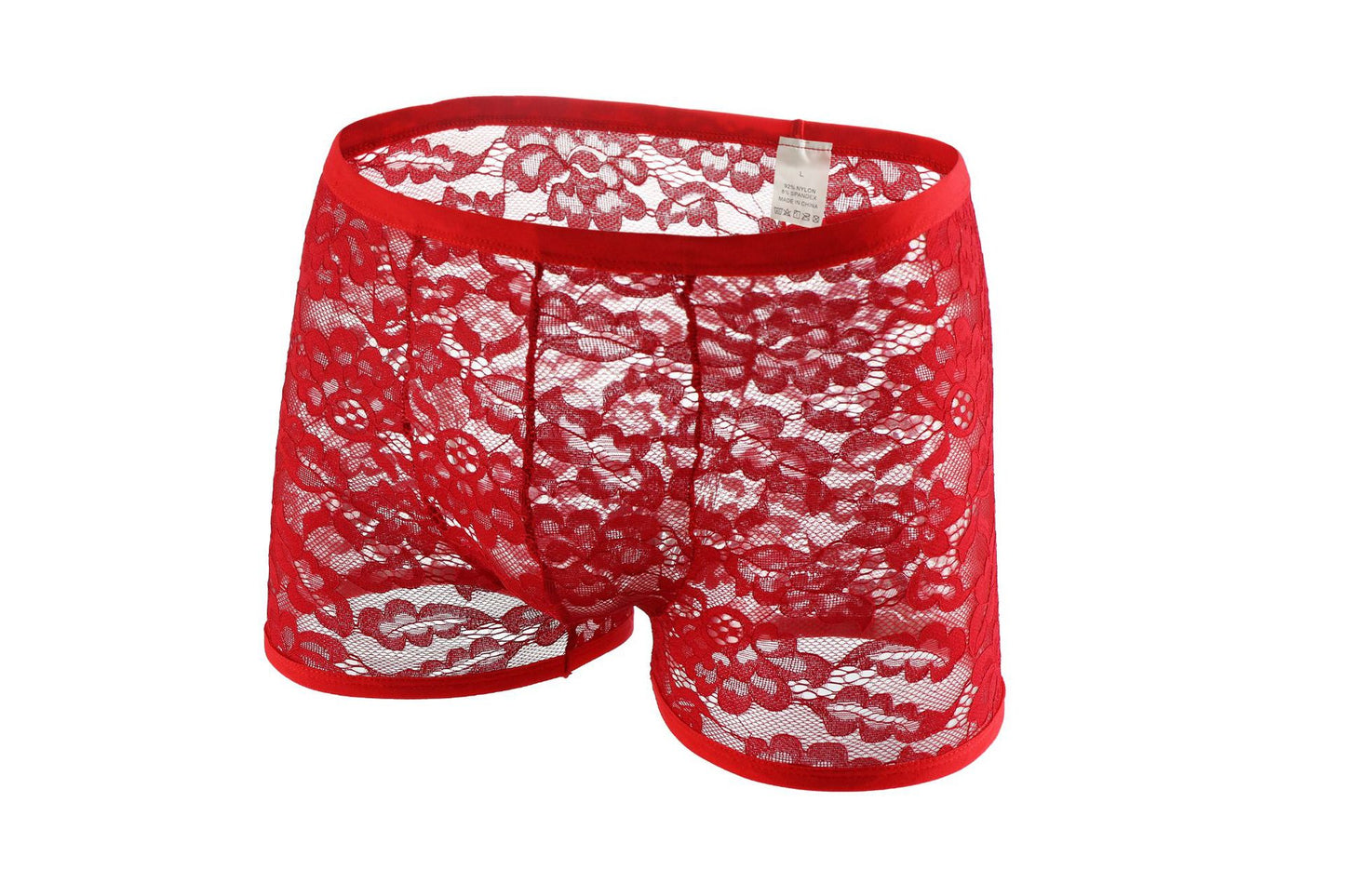 Men's Sexy Lace Mesh Panties