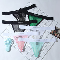 Men's Mesh See-through Sexy Thong