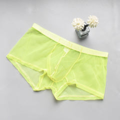 Men's Mesh See-through Boxer Briefs