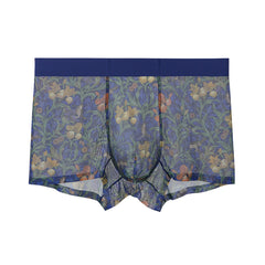 Men's Printed Mesh Sexy Breathable Seamless Panties