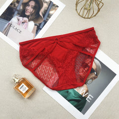 Lace High Elastic Seamless Low Waist Sexy Ice Silk Briefs
