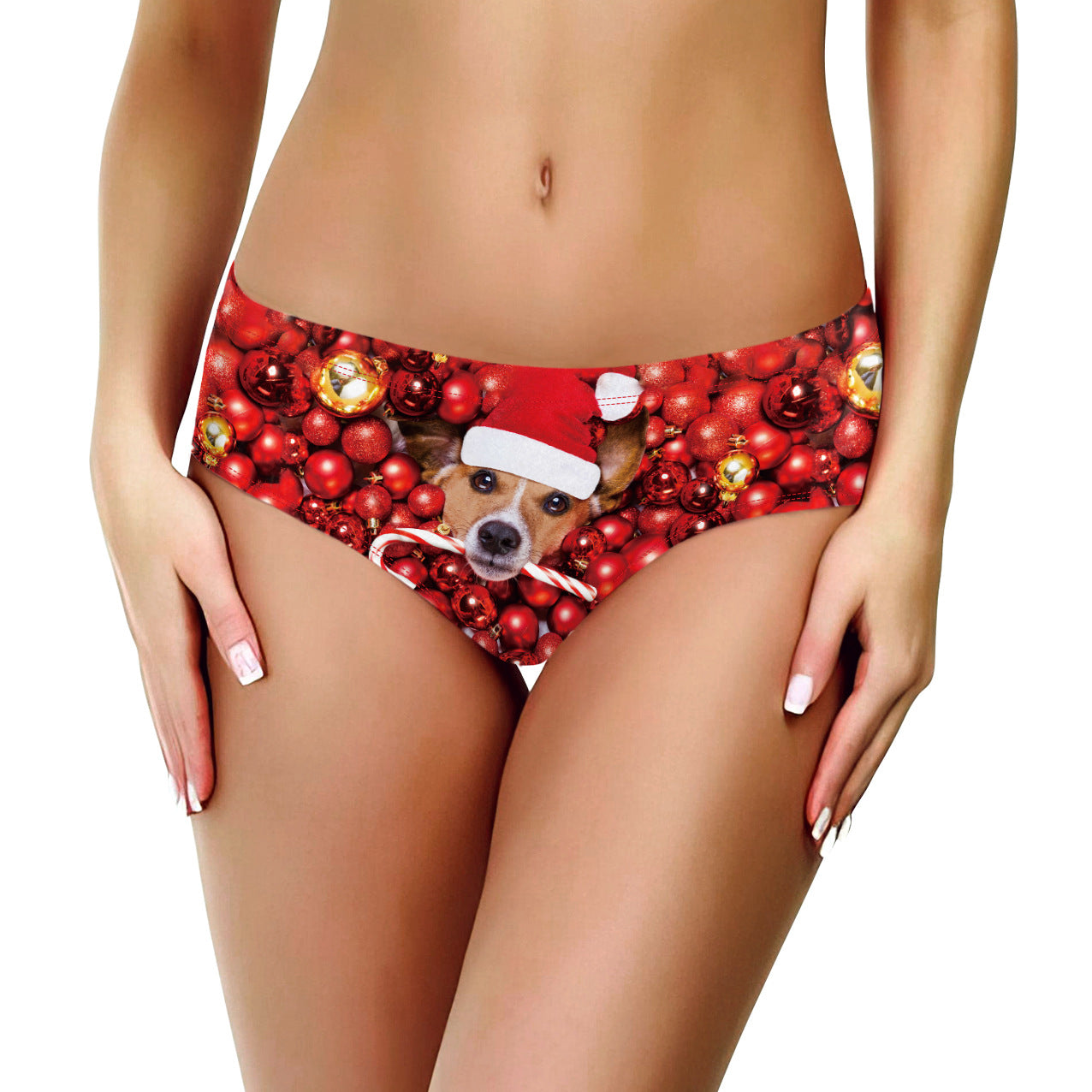 2024 Sexy Christmas Print Briefs