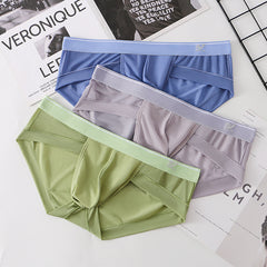 Men's Ultra-thin Ice Silk Mesh Breathable Quick-drying Transparent Sexy Briefs