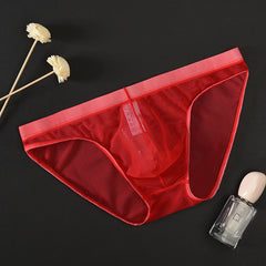 Men's Mesh Low Waist Sexy Ice Silk Briefs