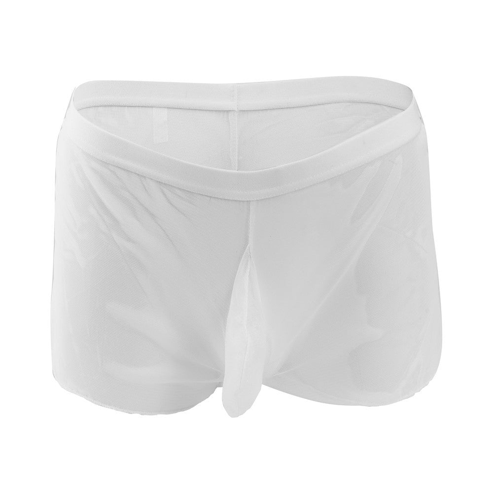 Men's Fully Transparent Mesh Sexy Underwear