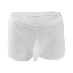 Men's Fully Transparent Mesh Sexy Underwear