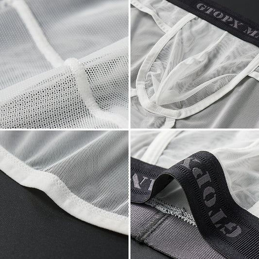 Men's Ice Silk Transparent Mesh Low Waist Breathable Sexy Briefs