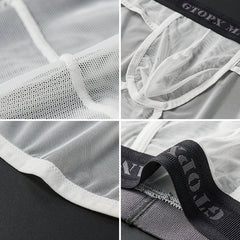 Men's Ice Silk Transparent Mesh Low Waist Breathable Sexy Briefs