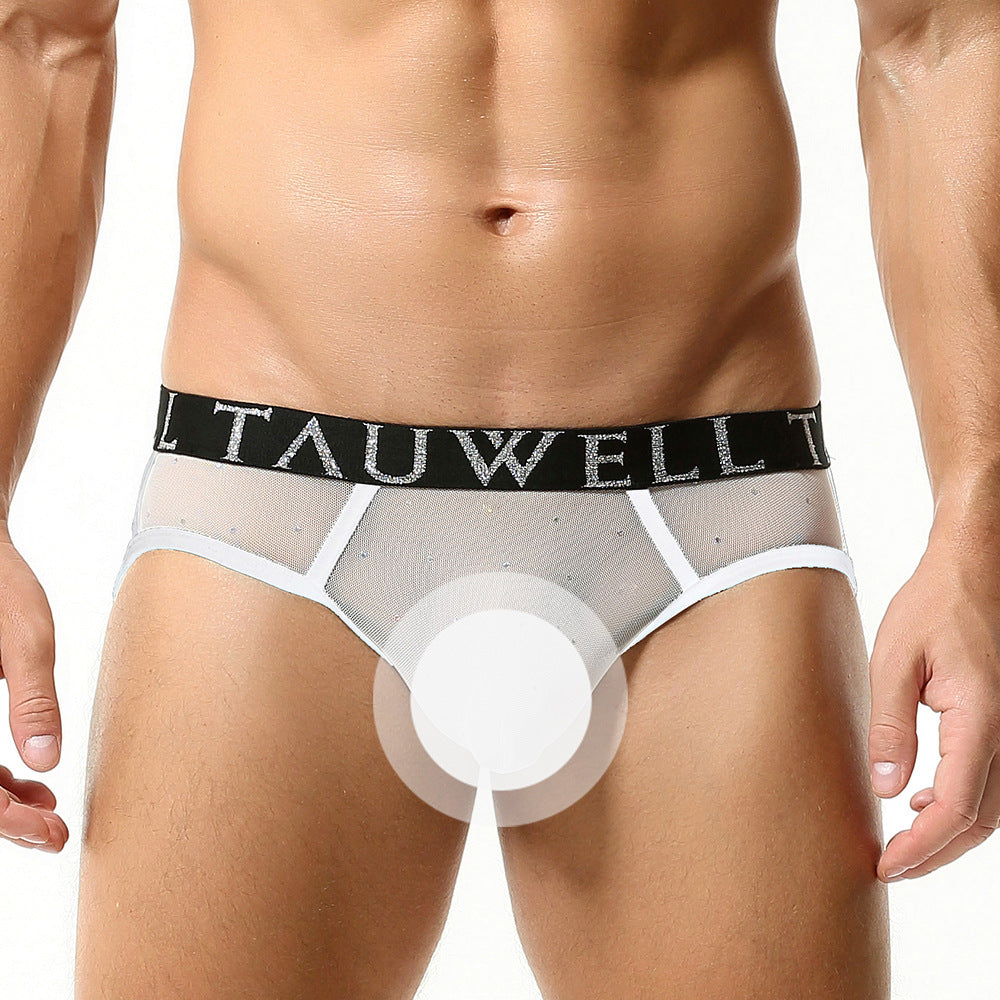 Men's Sexy Lace Mesh Transparent Briefs