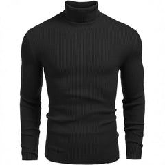 Men's Stylish Striped Turtleneck Sweater