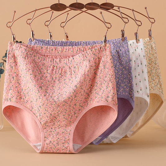 [ 5PCS ] Cotton high waist tummy control hip wrap comfortable Panties