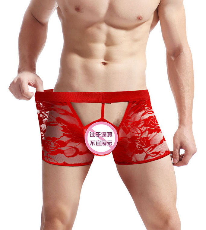 Men's Sexy Lace Open Mesh Transparent Boxer Briefs