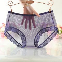 Fully Transparent Mesh Lace Sexy Briefs