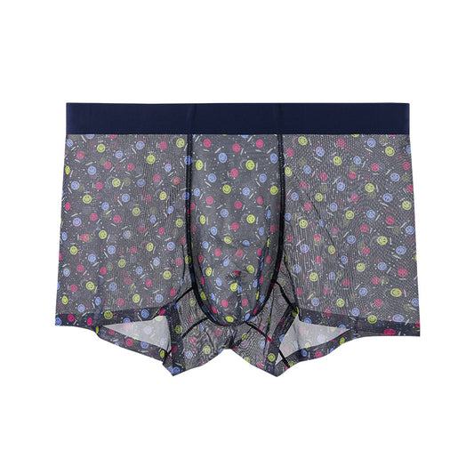 Men's Printed Mesh Sexy Breathable Seamless Panties
