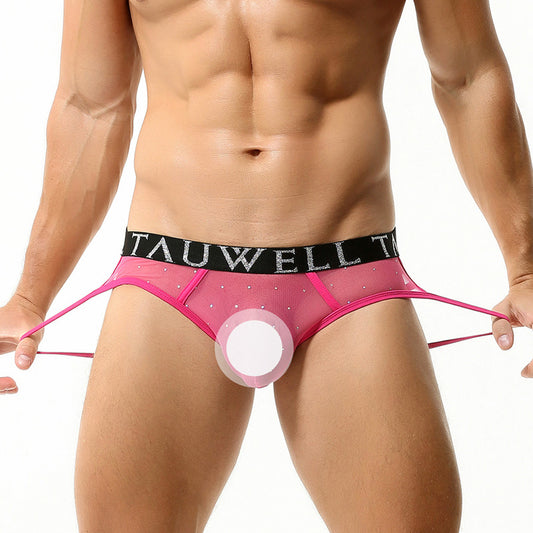 Men's Sexy Lace Mesh Transparent Briefs