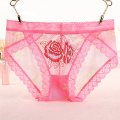 Lace mesh embroidered transparent panties