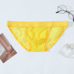 Men's Ultra-thin Transparent Mesh Breathable Briefs