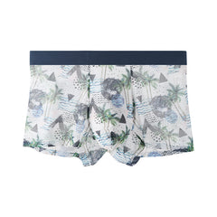 Men's Printed Mesh Sexy Breathable Seamless Panties