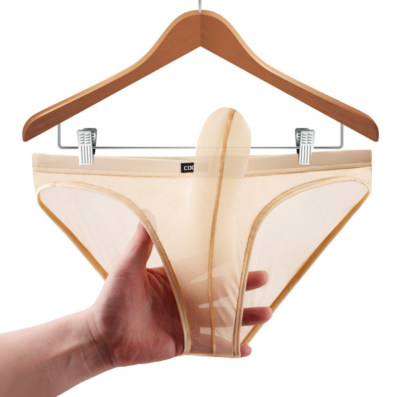 Men's transparent low-waist sexy mesh Panties