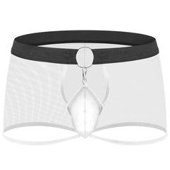 Men's New Sexy Mesh Transparent Boxer Briefs