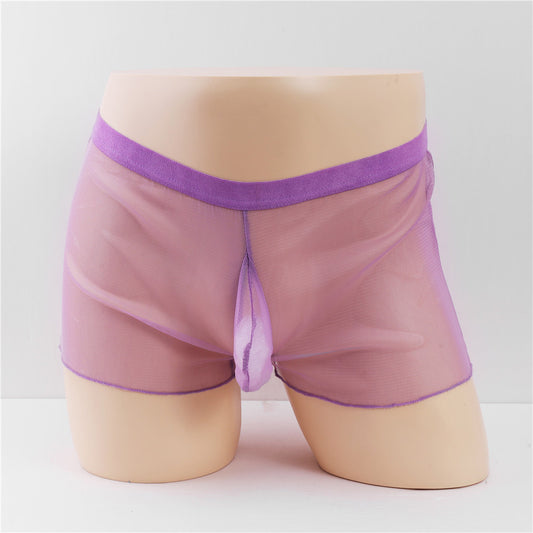 Men's Fully Transparent Mesh Sexy Underwear