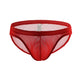 Men's Low Waist Transparent Mesh Sexy Briefs