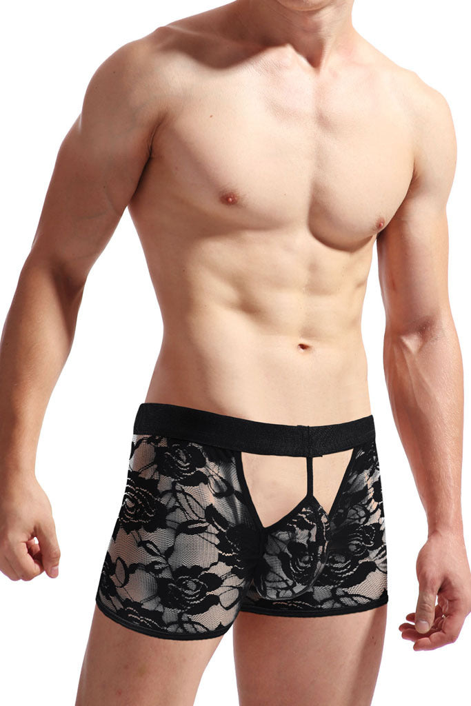 Men's Sexy Lace Open Mesh Transparent Boxer Briefs