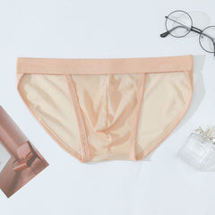 Men's Ultra-thin Transparent Mesh Breathable Briefs