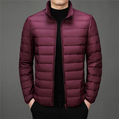 New Men's Stand Collar Lightweight Fashionable Casual Down Jacket